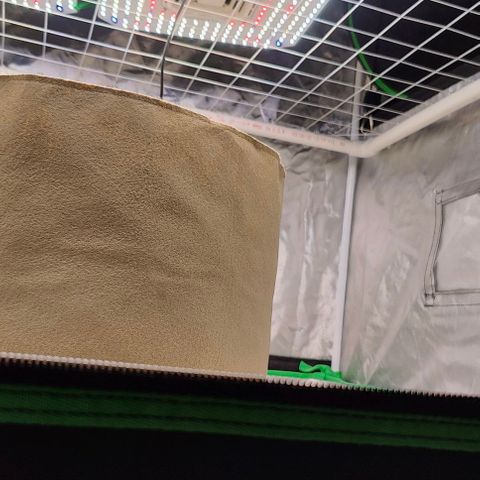 Cookies and Creamix Auto  growlog timeline photo