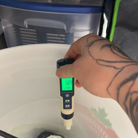  10th planet R1 growlog timeline photo