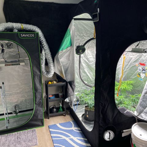  10th planet R1 growlog timeline photo
