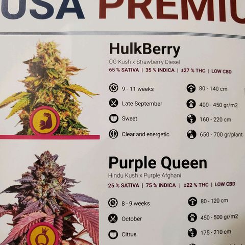 Hulkberry growlog timeline photo