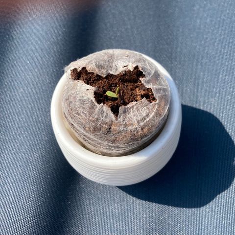 Northern Lights Auto growlog timeline photo