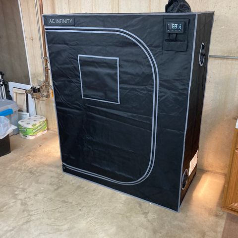Northern Lights Auto growlog photo: New grow tent ventilation and took the time to address bad cabling