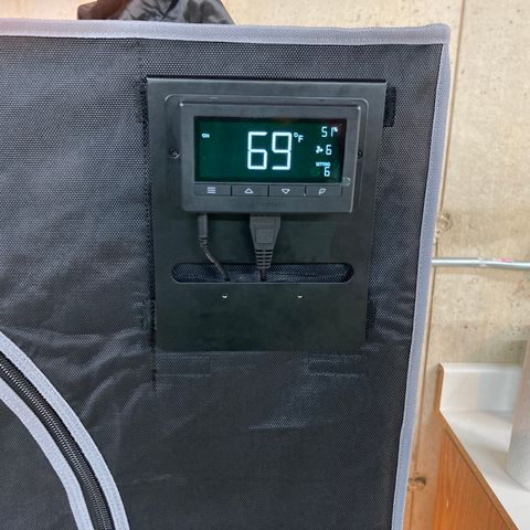 Northern Lights Auto growlog photo: New grow tent ventilation and took the time to address bad cabling