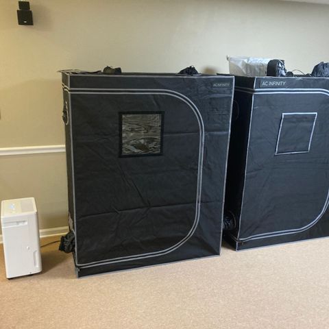 Northern Lights Auto growlog photo: Added a drying / lung tent