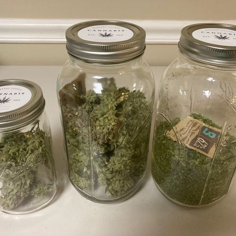 Northern Lights Auto growlog timeline photo
