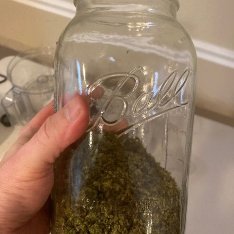DG x GC growlog timeline photo