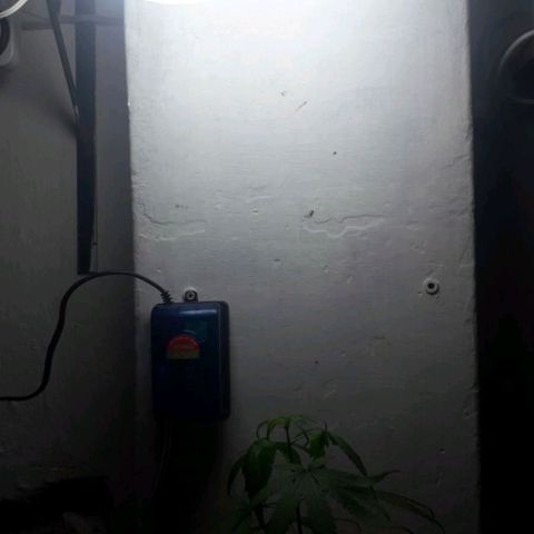 "LA NENA" - HIDROPONICA. growlog photo: Agregado de luces (2 focos)