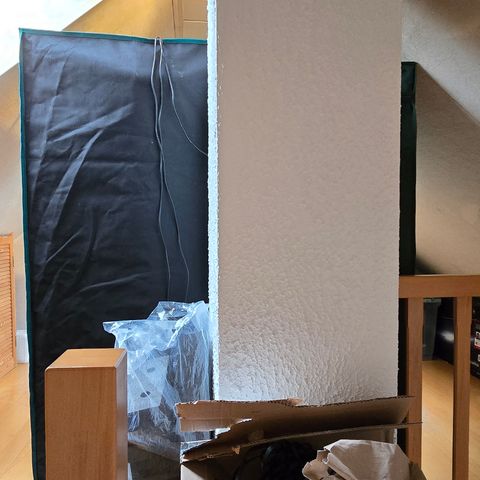 Forbidden Fruit  growlog timeline photo