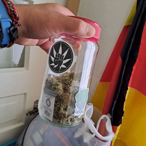 Auto Candy Bubatz XL growlog timeline photo