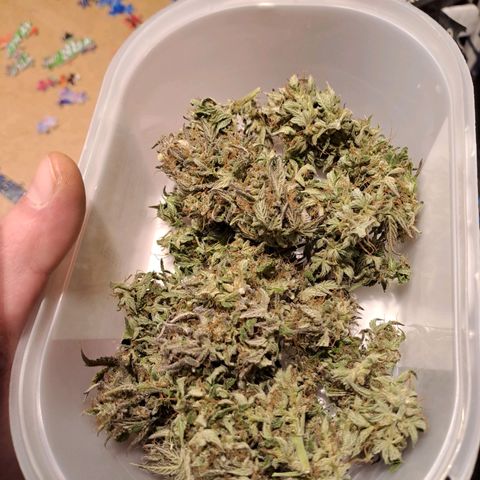 Caramellow Kush growlog timeline photo