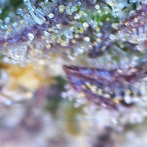 Banana Kush Cake  growlog timeline photo
