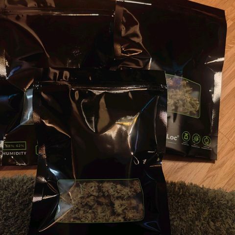 Pink Rozay Automatic growlog timeline photo