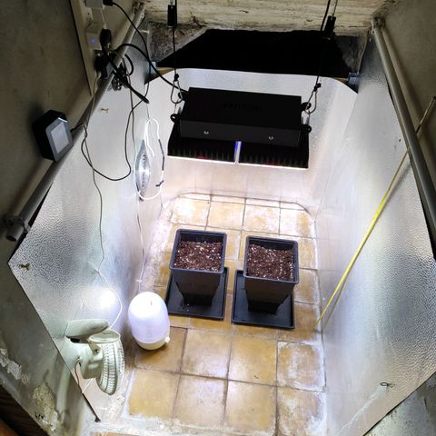 F1 SK #1 growlog timeline photo