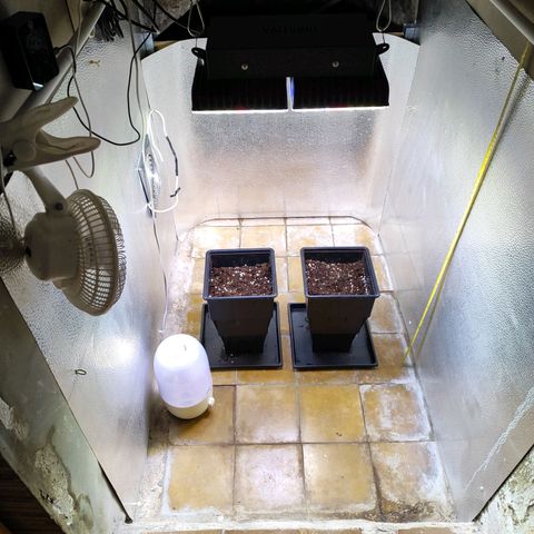F1 SK #1 growlog timeline photo