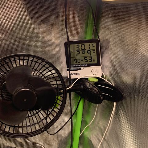 Green Poison growlog timeline photo