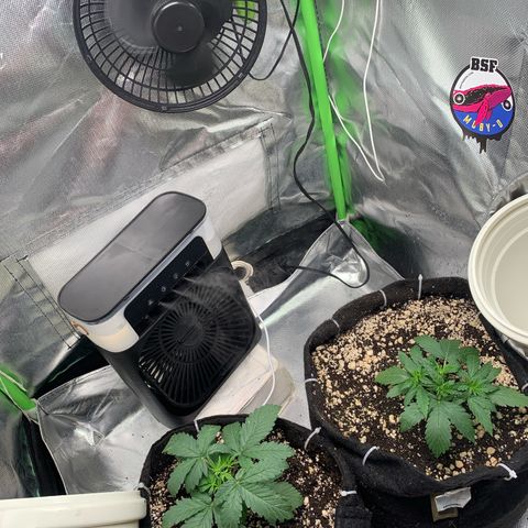 Green Poison growlog timeline photo