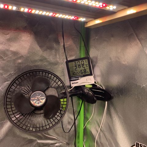 Green Poison growlog timeline photo