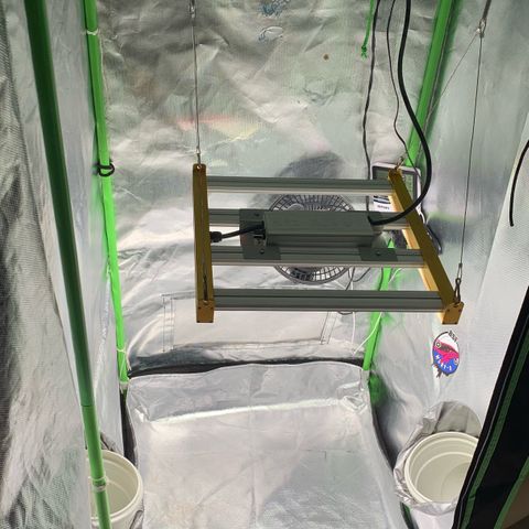 Green Poison growlog photo: Higienização com álcool no grow todo

- limpeza das ventoinhas/saidas de ar/ventilador