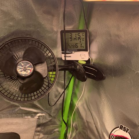 Green Poison growlog timeline photo