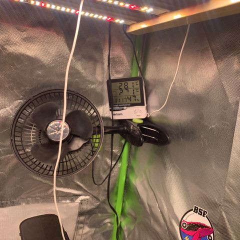 Green Poison growlog timeline photo