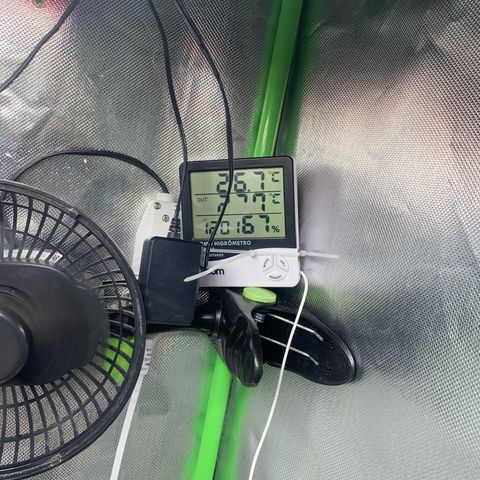 Green Poison growlog timeline photo