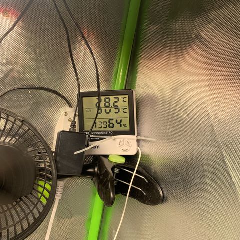 Green Poison growlog timeline photo