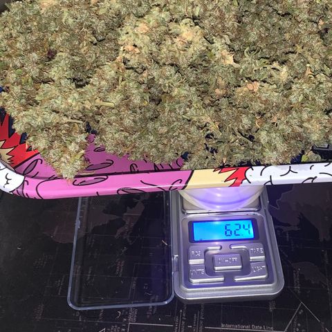 Green Poison growlog timeline photo