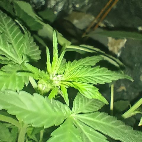 Rita 😍 growlog timeline photo