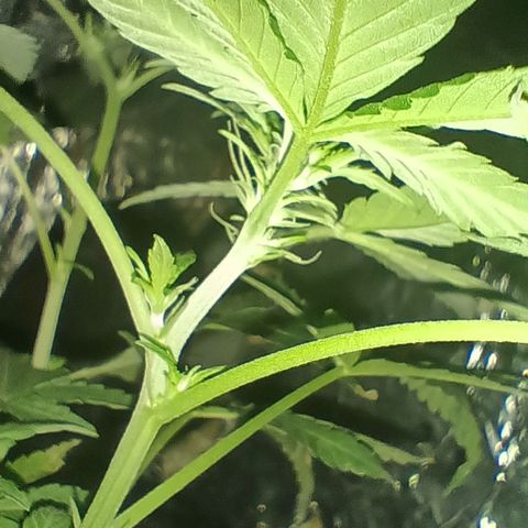 Rita 😍 growlog timeline photo
