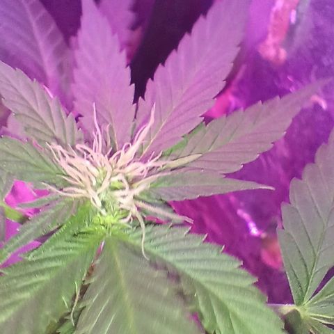 Rita 😍 growlog timeline photo