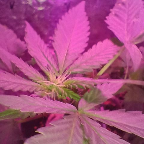 Rita 😍 growlog timeline photo