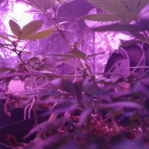 Rita 😍 growlog timeline photo