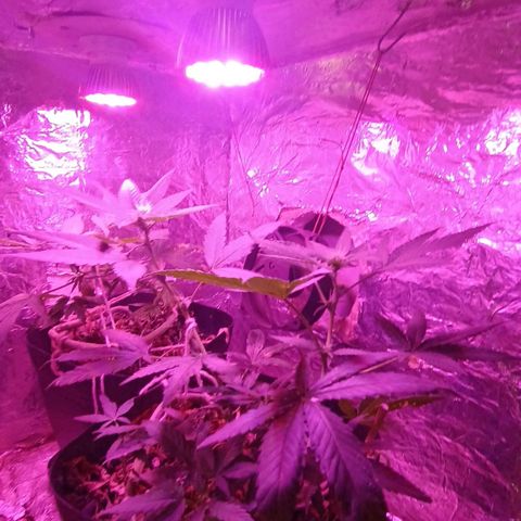 Rita 😍 growlog timeline photo