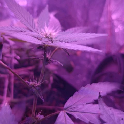 Rita 😍 growlog timeline photo