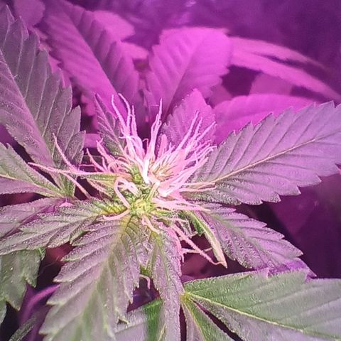 Rita 😍 growlog timeline photo