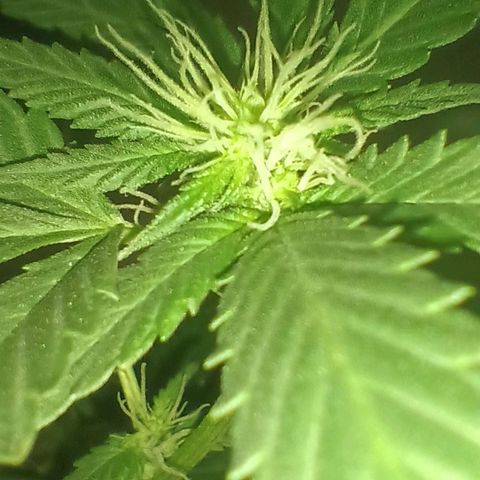 Rita 😍 growlog timeline photo