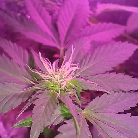Rita 😍 growlog timeline photo