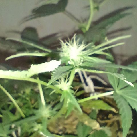 Rita 😍 growlog timeline photo