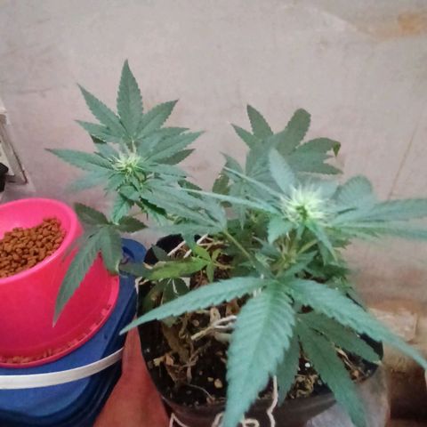 Rita 😍 growlog timeline photo