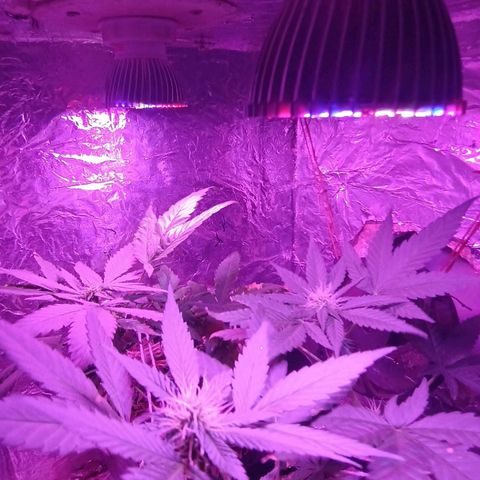 Rita 😍 growlog timeline photo
