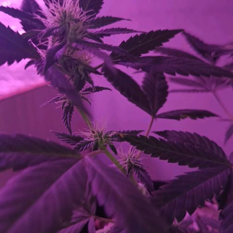Rita 😍 growlog timeline photo