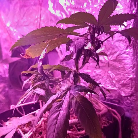Rita 😍 growlog timeline photo