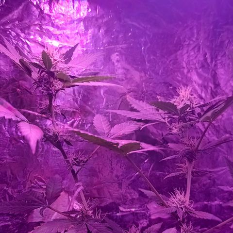 Rita 😍 growlog timeline photo