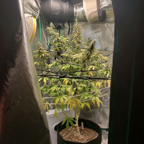 The Baby growlog timeline photo