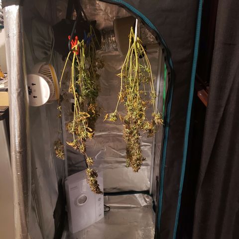 The Baby growlog timeline photo