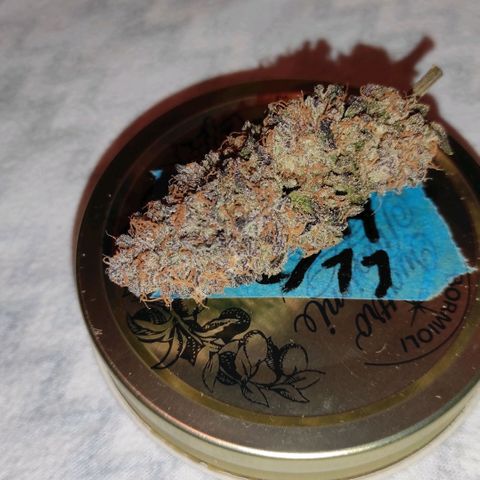 Jack Herer Main lining growlog timeline photo