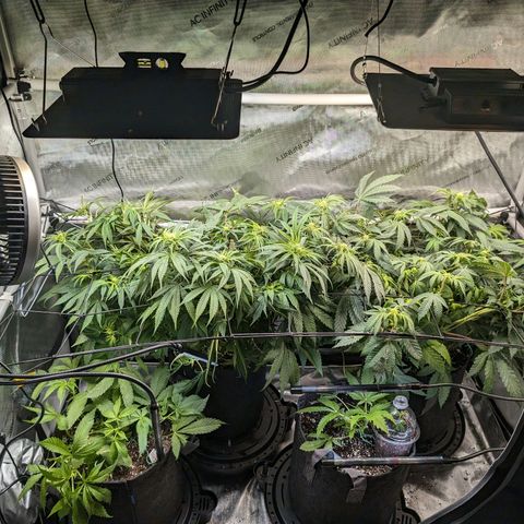 Marta mints growlog timeline photo