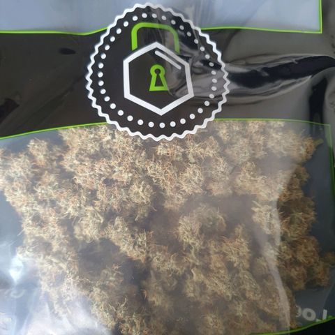 Mandarine Jam growlog timeline photo