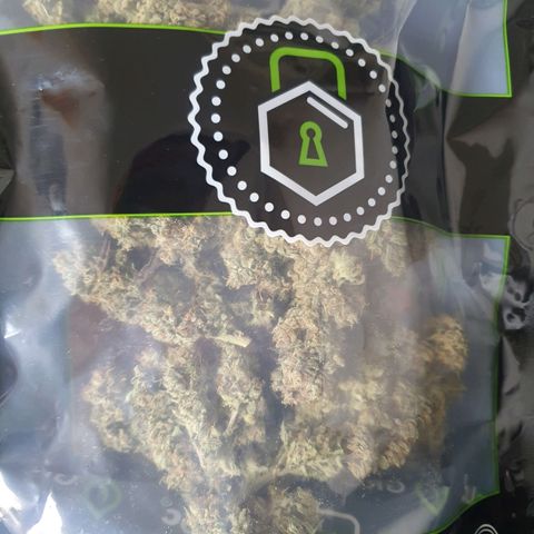 Mandarine Jam growlog timeline photo