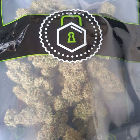 Hindu Kush growlog timeline photo
